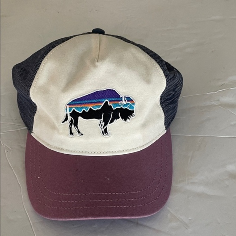 Patagonia Organic Cotton Hat - Black and Gray